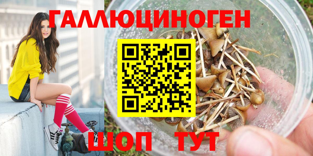 Рузаевка  Галлюциногенные грибы GOLDEN TEACHER  Вход с VPN 